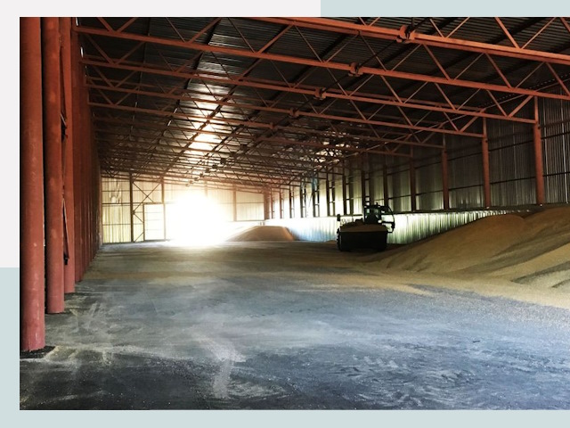 Строительство зернохранилищ в Камышине